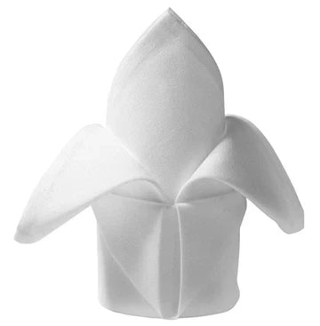 Napkin
